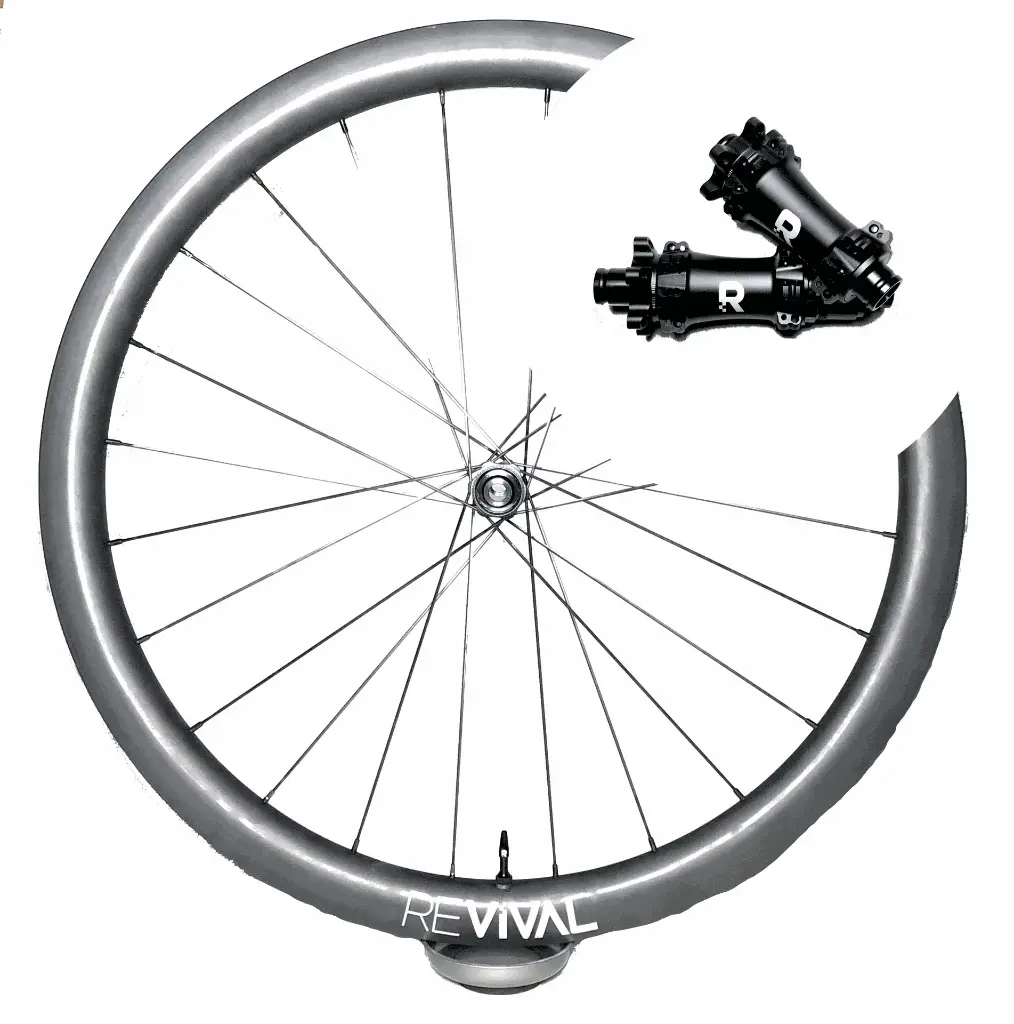 Gravel Journey 40 - Revival (Laiton noir, Shimano HG10, Blanc)